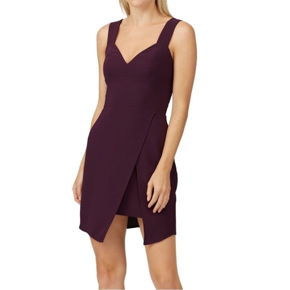 Amanda Uprichard Dresses & Skirts - Amanda Uprichard Primrose Mini Dress in Black Cherry